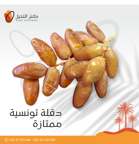 دقلة النور – عرجون