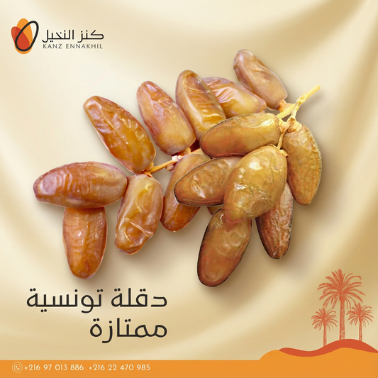 دقلة النور – عرجون